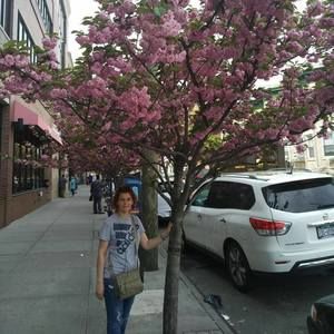 Meet your Posher, Olga